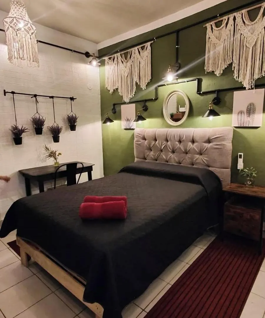 Frida Downtown Apart Playa del Carmen